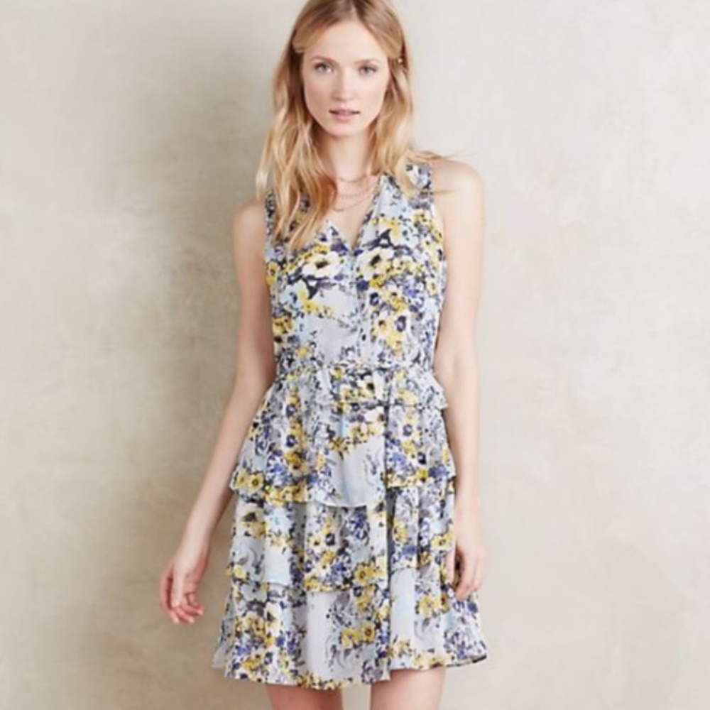 Anthropologie HD in Paris Floral Ruffle Dress